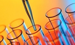 CALL FOR RESEARCH GRANT APPLICATION 2022
