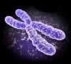 Chromosom 14-Syndrom
