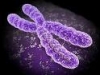Sindromes del cromosoma 14