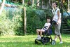 Foto 311