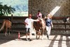 Foto 324