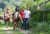 Foto 351