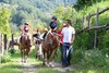 Foto 352