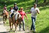 Foto 356