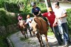 Foto 359