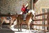 Foto 362