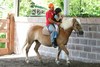 Foto 377
