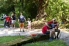 Foto 732