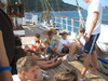 Foto 586
