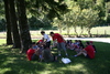 Foto 353