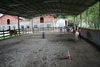 Foto 377