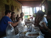 Foto 331