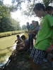 Foto 336