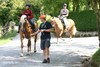 Foto 353