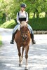 Foto 354